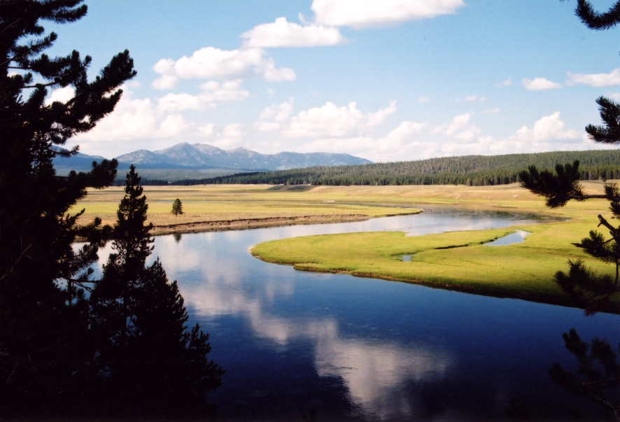 hayden valley trail