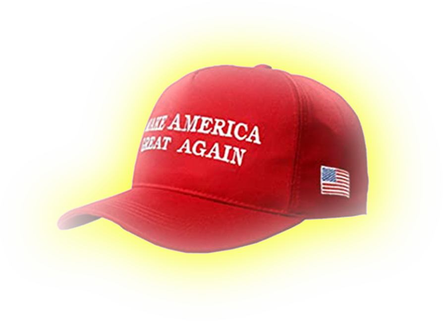 maga hat missing