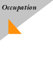 Occupation